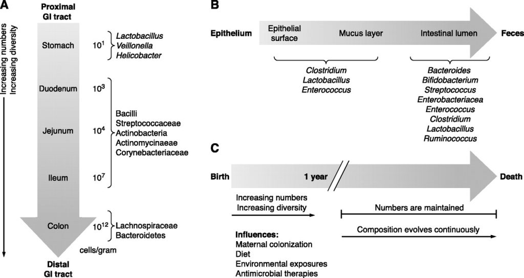 Microbiome Species