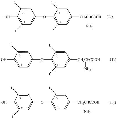 Molecular structure of thyroid hormones